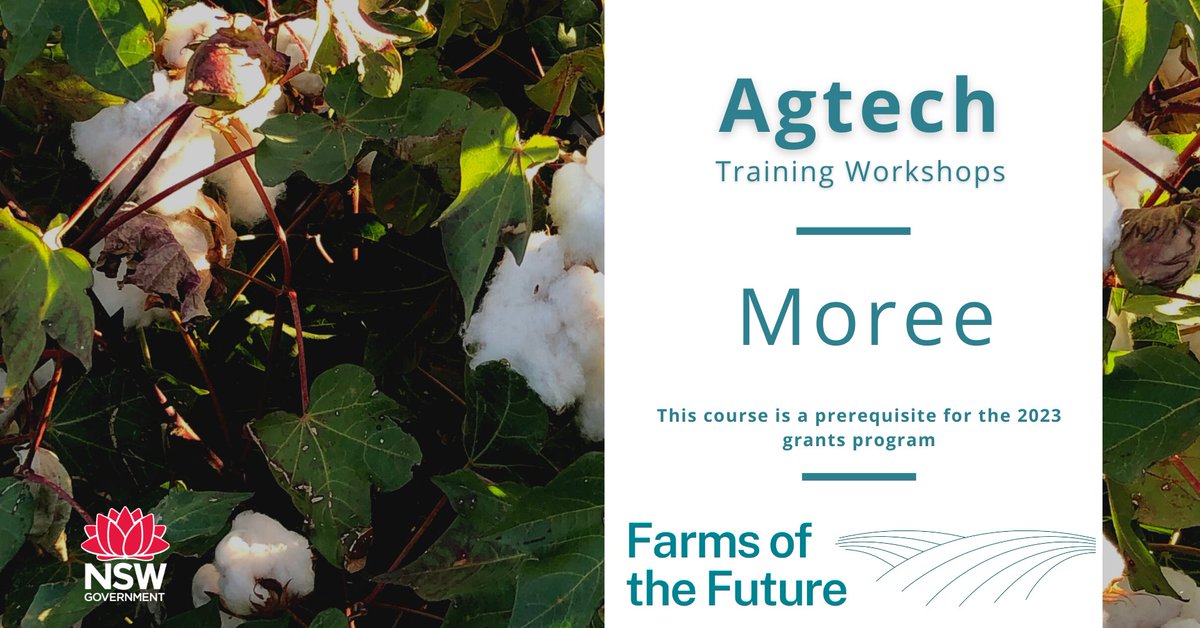 DPI_DigitalAg's tweet photo. New Agtech training dates available in Moree &amp; Narrabri. Learn to address farm connectivity needs &amp; plan for new solutions.

Prerequisite to apply for a Farms of the Future grant in 2023.

Moree https://t.co/3r2r1REZX6
Narrabri https://t.co/SjdEqWvwhG https://t.co/Yk8zaW50Wp