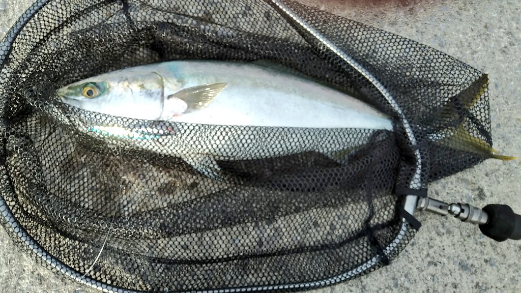 Y Xthxn0oeog3m Y Xthxn0oeog3m