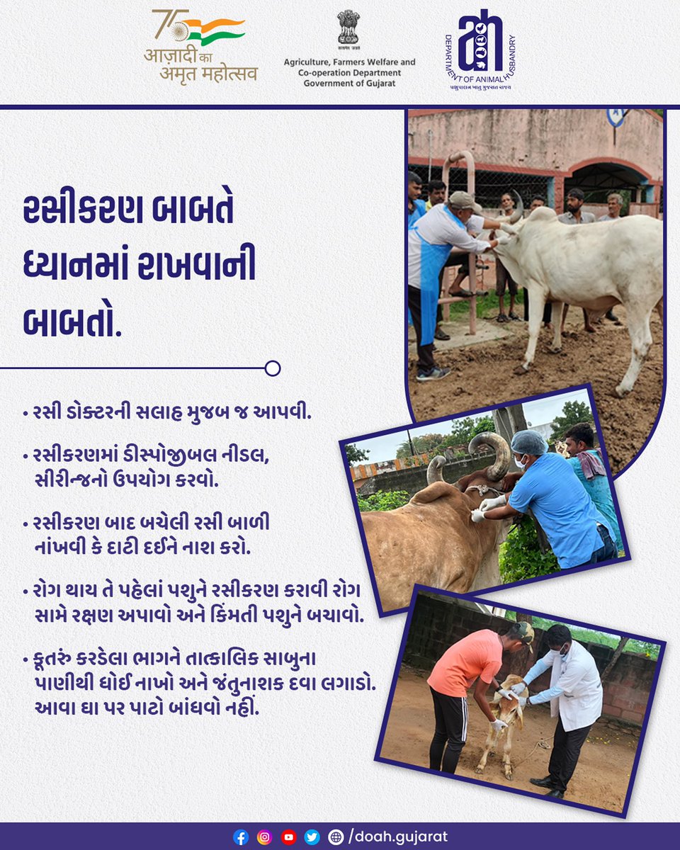 DoahGujarat's tweet photo. પશુઓને સમયસર રસી મુકાવો, પોતાને આર્થિક હાનિથી બચાવો.
પશુઓમાં રસીકરણ અંગેની મહત્વની માહિતી.
@Dept_of_AHD @Min_FAHD
@PIB_MoFAHD @InfoGujarat
@RaghavjiPatel @DevabhaiMalam
#doah #departmentofanimalhusbandry #gujarat #animalhealthtips #animalvaccine #animalvaccination https://t.co/TvBvHX8cMC