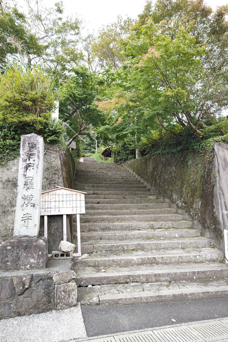 格安人気 ぎんなんギンナン銀杏M 大分県耶馬溪産 3kg highart.com.eg 格安人気 ぎんなんギンナン銀杏M 大分県耶馬溪産 3kg highart.com.eg