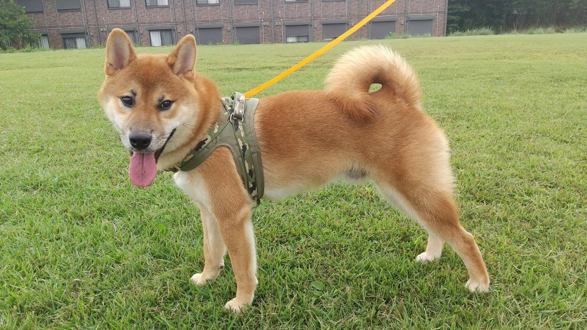 Rdihfy9 Wxbiqm Rdihfy9 Wxbiqm