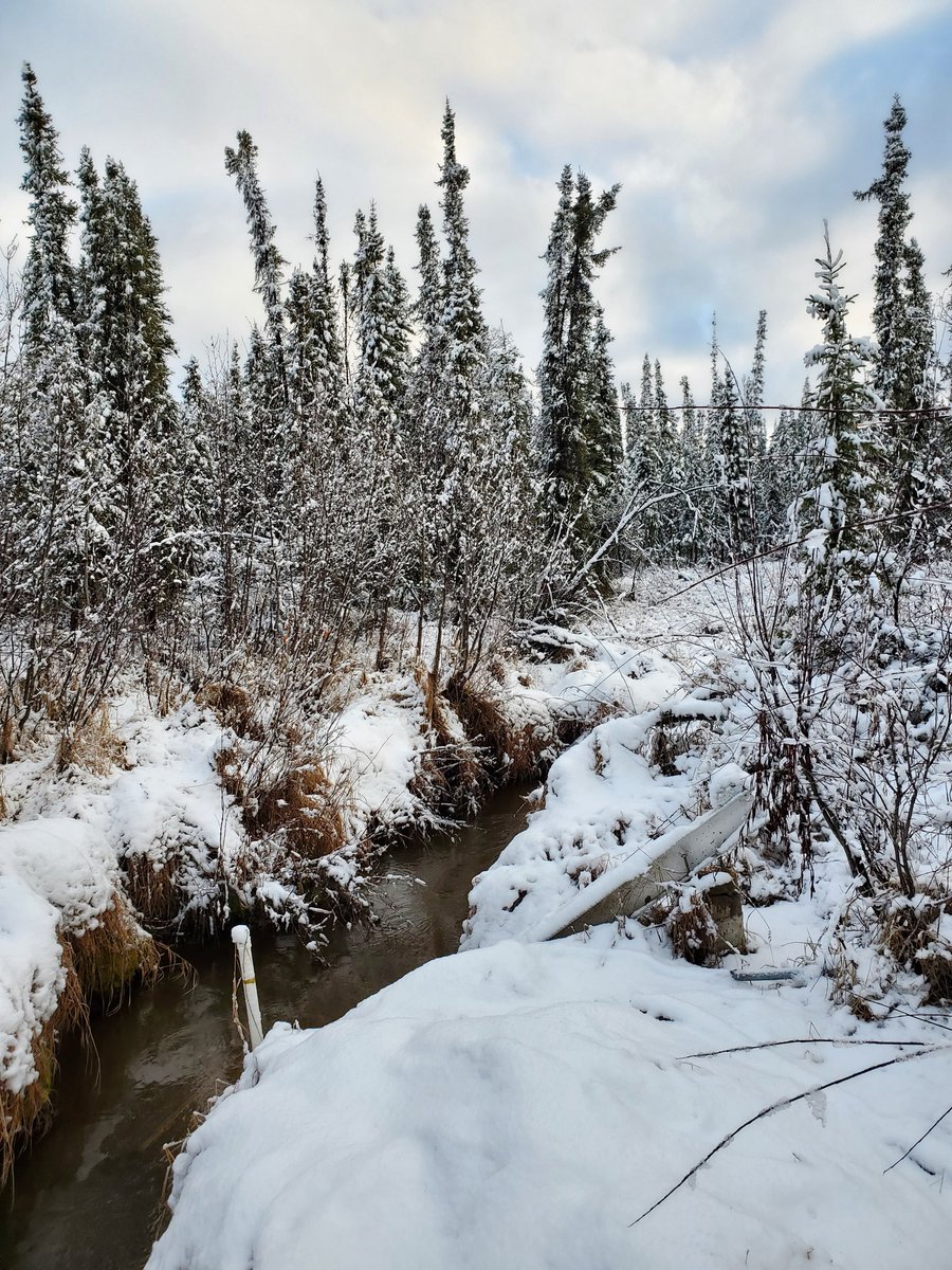 Time to pull the sensors ❄️