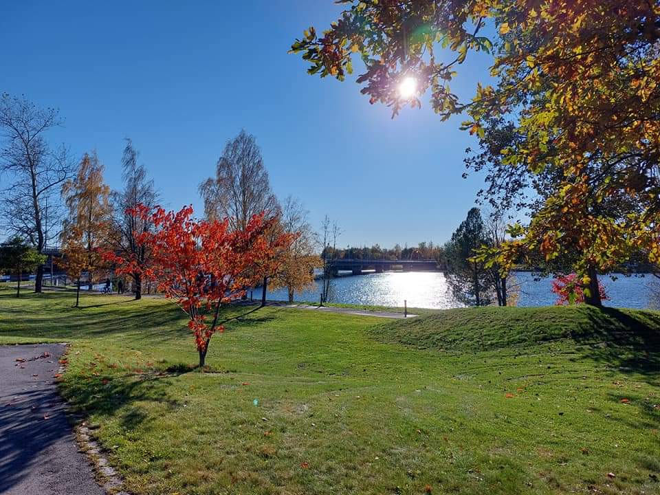 Jaanaelice's tweet photo. VĂ€riterapiaa đđ§Ąđđ
#Autumn #Uumaja https://t.co/LuB1aNeccl