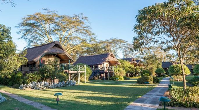 nature_exp's tweet photo. Sweetwaters Serena Camp will give you a great experience in your safaris.
For inquiries and bookings contact us via,
☎ Tel: +254 – 748 717 387
📧 info@natureexpeditions.com
https://t.co/zz299xmfLN
#Sweetwaters #AfricanSafaris #Travel #WildlifeSafari #MagicalKenya https://t.co/jd60dMglvV