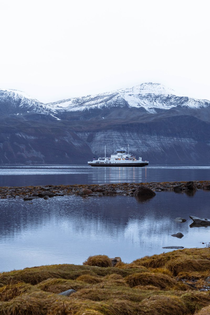 Joelle LB tweet media