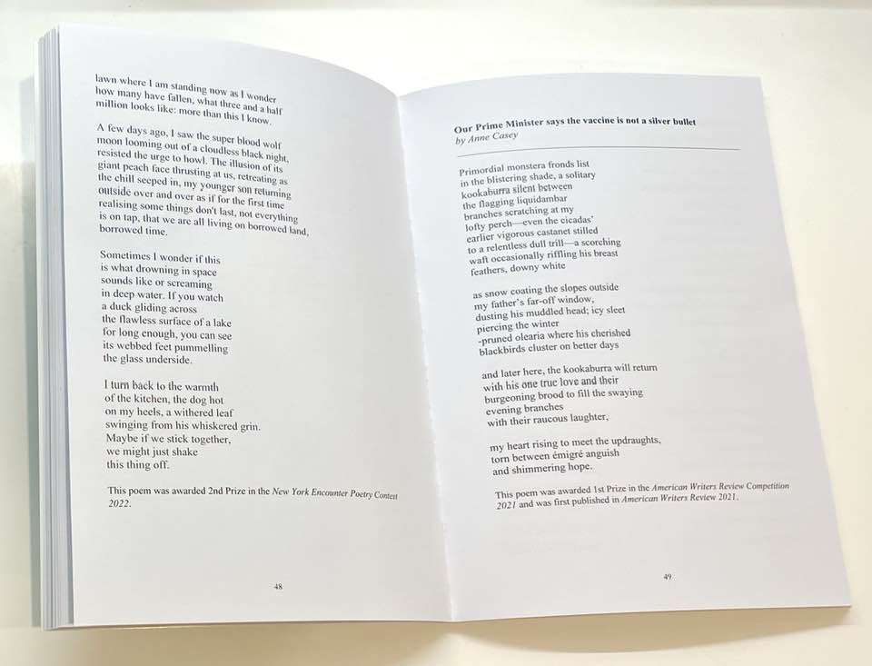 ... one of my #poems in this issue of 'The Journal' won 1st Prize with American Writers Review &amp; the other #poem won 2nd Prize with New York Encounter. The issue is packed with #essays, #interviews &amp; #book #reviews, plus wonderful #poetry in #Irish &amp; #English by <a href="/siobhannaspag/">Julie Breathnach-Banwait</a>