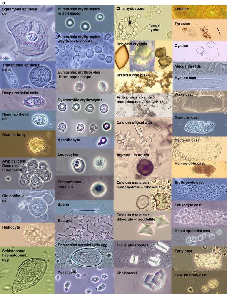 غيداء طلال بصفر🇸🇦 tweet media