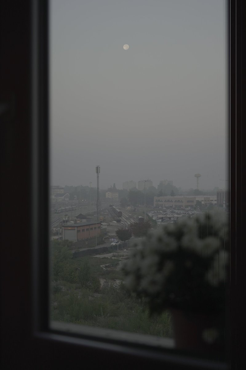 dimikazak's tweet image. Ho dormito male ma il risveglio ne è valso la pena. #log2