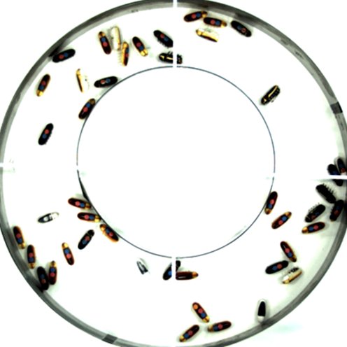 PhysRevResearch's tweet photo. Effective temperature and dissipation of a gas of active particles probed by the vibrations of a flexible membrane, Jean François Boudet, Julie Jagielka, Thomas Guerin, Thomas Barois, Fabio Pistolesi, and Hamid Kellay #SoftMatter #StatisticalPhysics https://t.co/Lv0m6BL0p1 https://t.co/74ekLbHr7x