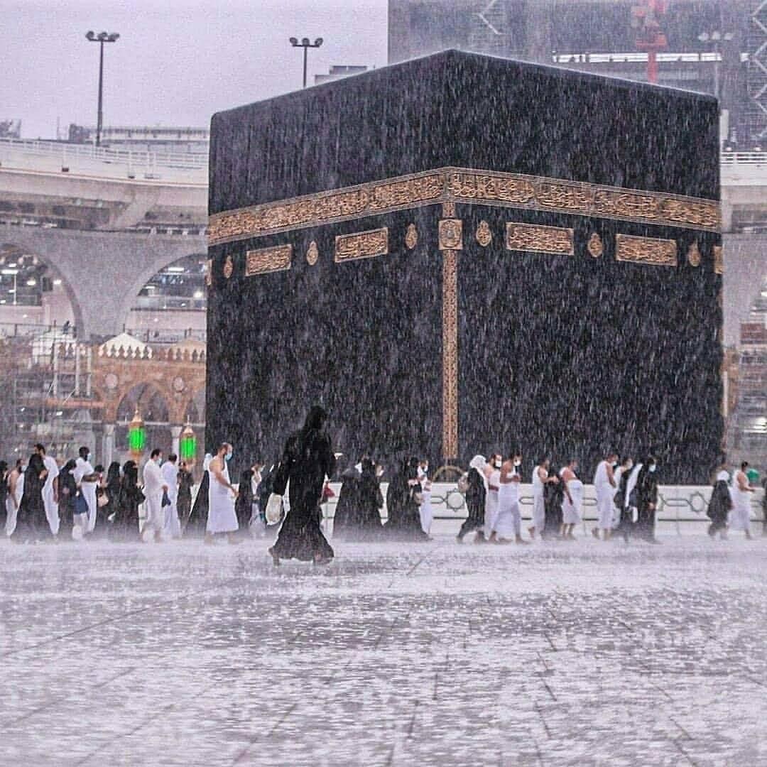 Fatima🇵🇰 tweet media