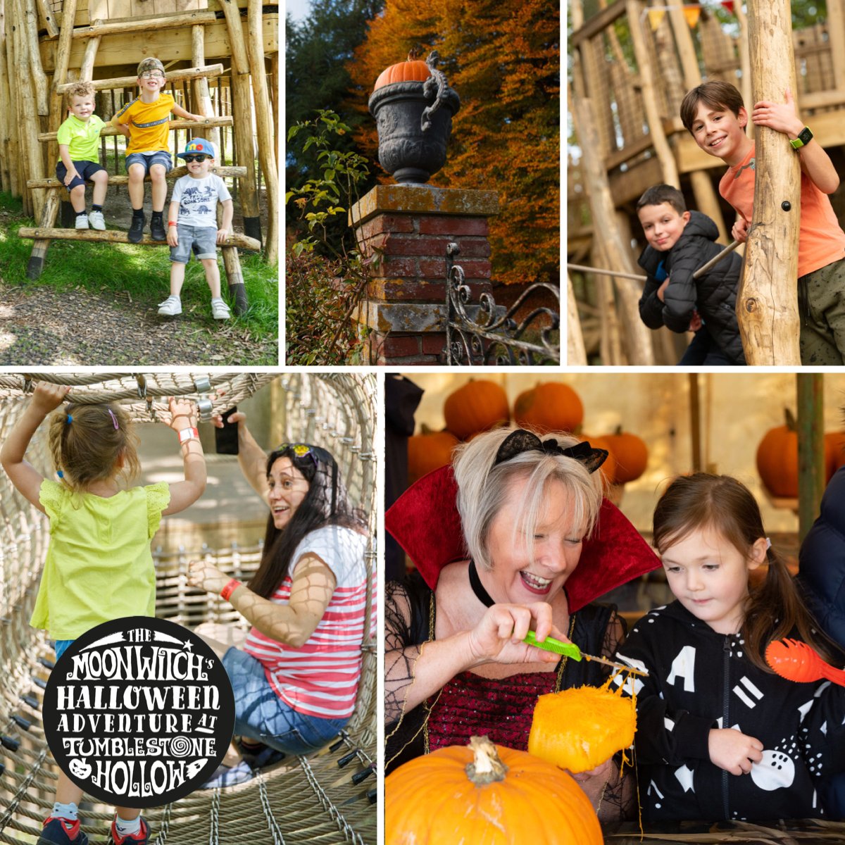 There are very limited places for the Pumpkin Carving at Moon Witch's Halloween Adventure. Please book early to avoid disappointment. It's properly supervised and in a lovely covered area, so safe from the weather too. bit.ly/3fJfMQc

#Halloween #Oxfordshire #FamilyDay