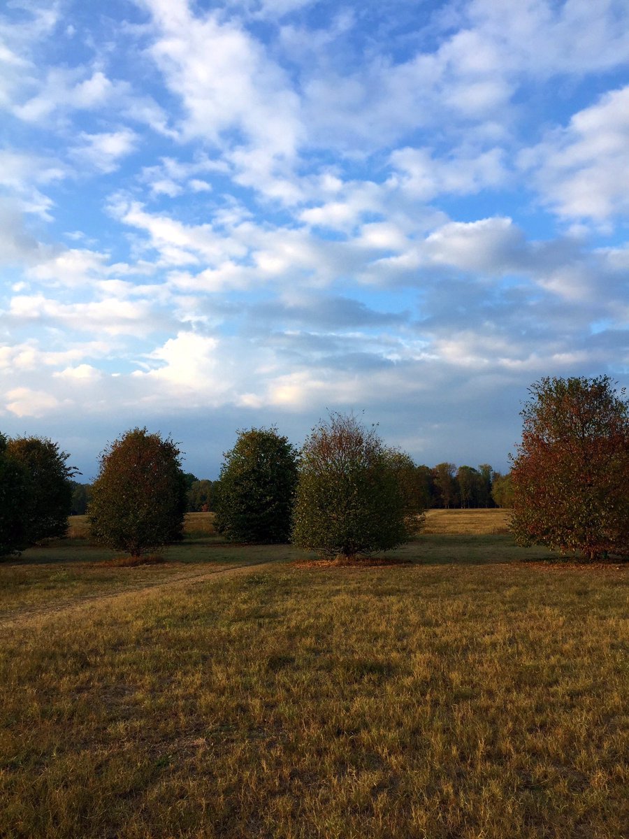 There is something about silence and being in the middle of nowhere that is really very attractive.🍁🐿🍂