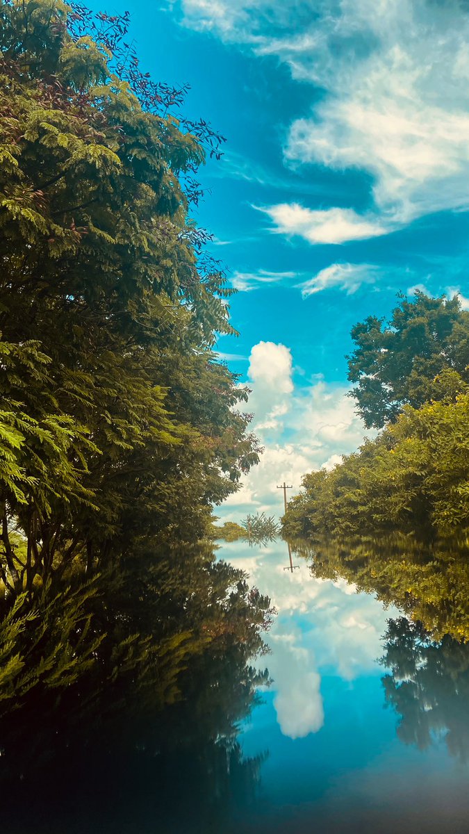 kitkatv40's tweet photo. Reflection 😍📸
Nature lover 🥰
.
.
.
.
#likesforlike #crazy #instagram #nature #naturelovers #naturephotography #mobilephotography #refliction #reflection #reflectionphotography #iphone11 #iphonephotography #apple #amazing #amazingnature #instagood #moodygrams https://t.co/1cVFQjRhLs