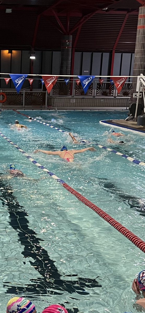 Gateshead and Whickham Swimming tweet media