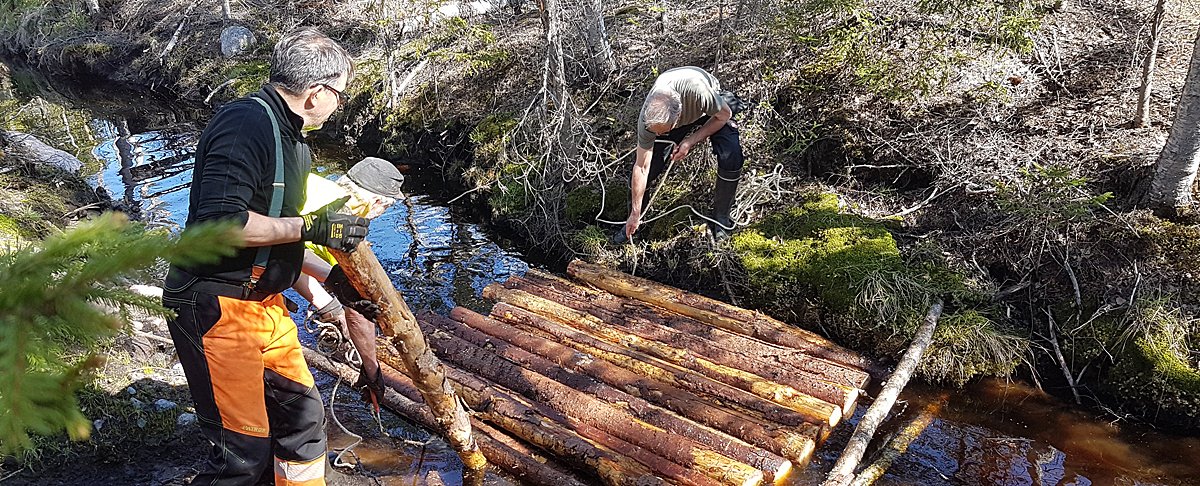 Puuaineksen lisääminen ojastoihin, vesiensuojelurakenteisiin ja pienvesiin voi vähentää merkittävästi vesistöihin päätyvää ravinne-, kiintoaines- ja humuskuormitusta #PuuValuVesi #vesienhoito #mmmvesienhallinta #puullapuhtaaksi syke.fi/fi-FI/Ajankoht…
