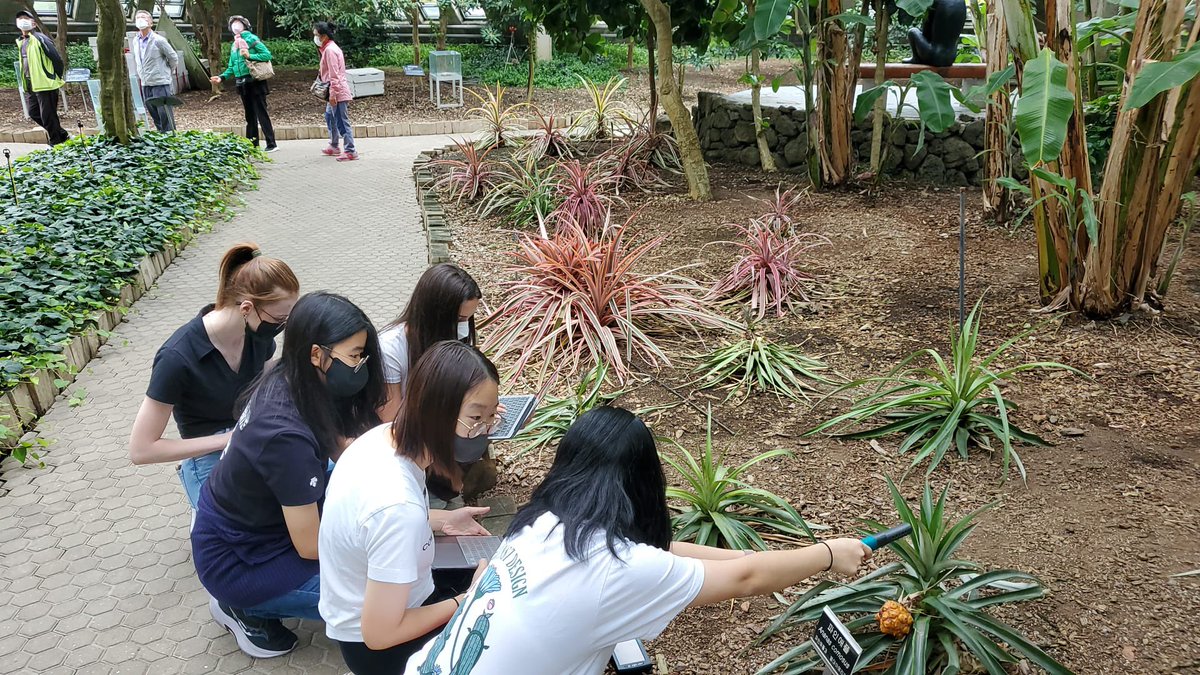 NLCSJeju_Bio's tweet photo. Now pictures from the girls trip!

The pictures show the girls measuring the CO2 and O2 levels as well as surface temperature of their chosen plant species! 

#welovebiology #nlcsjeju #botanicalgardens https://t.co/jd4XlxYx4F