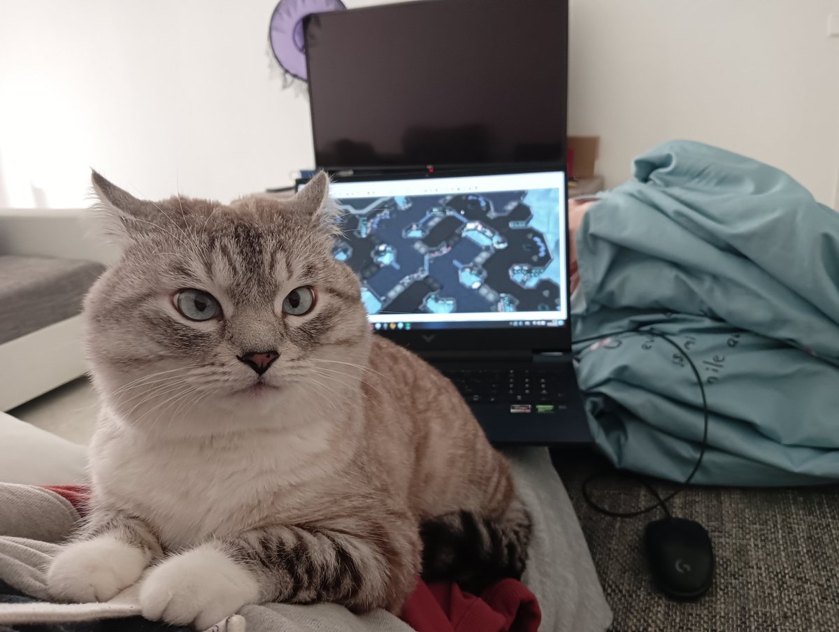 Slava "Astra" Romanov (@kitten_astra) on Twitter photo 