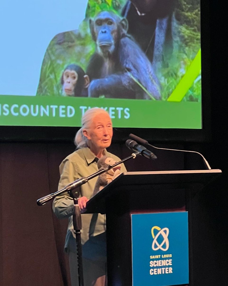 Dr. Jane Goodall & the Jane Goodall Institute tweet media