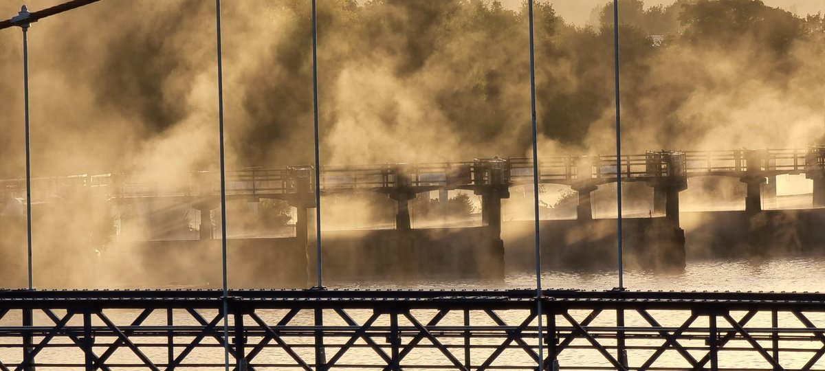 Nicholas Willmore tweet media