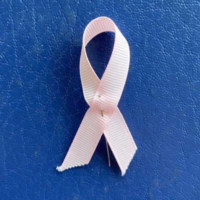 This session, as in previous years, PACE is marking #PinkRibbonDay and Breast Cancer Awareness month. Watch out for this event later today: pace.coe.int/en/news/8828/t… Meanwhile, the @CoE building was lit up in pink last night, and not forgetting our #NewProfilePic for today…
