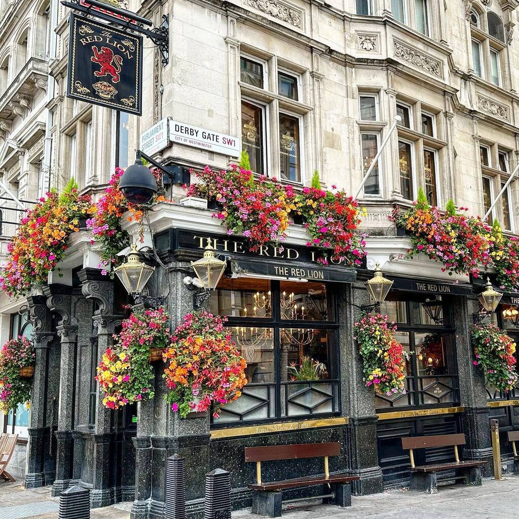 WalidEKhoury's tweet photo. Flowery pub #flowers #restaurant #decoration #nature #street #London https://t.co/QHFOqlpMV9 https://t.co/p7w6mqJmLt