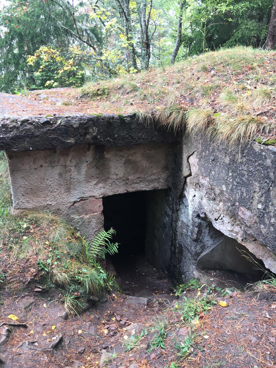 Clg Alice Mosnier tweet media