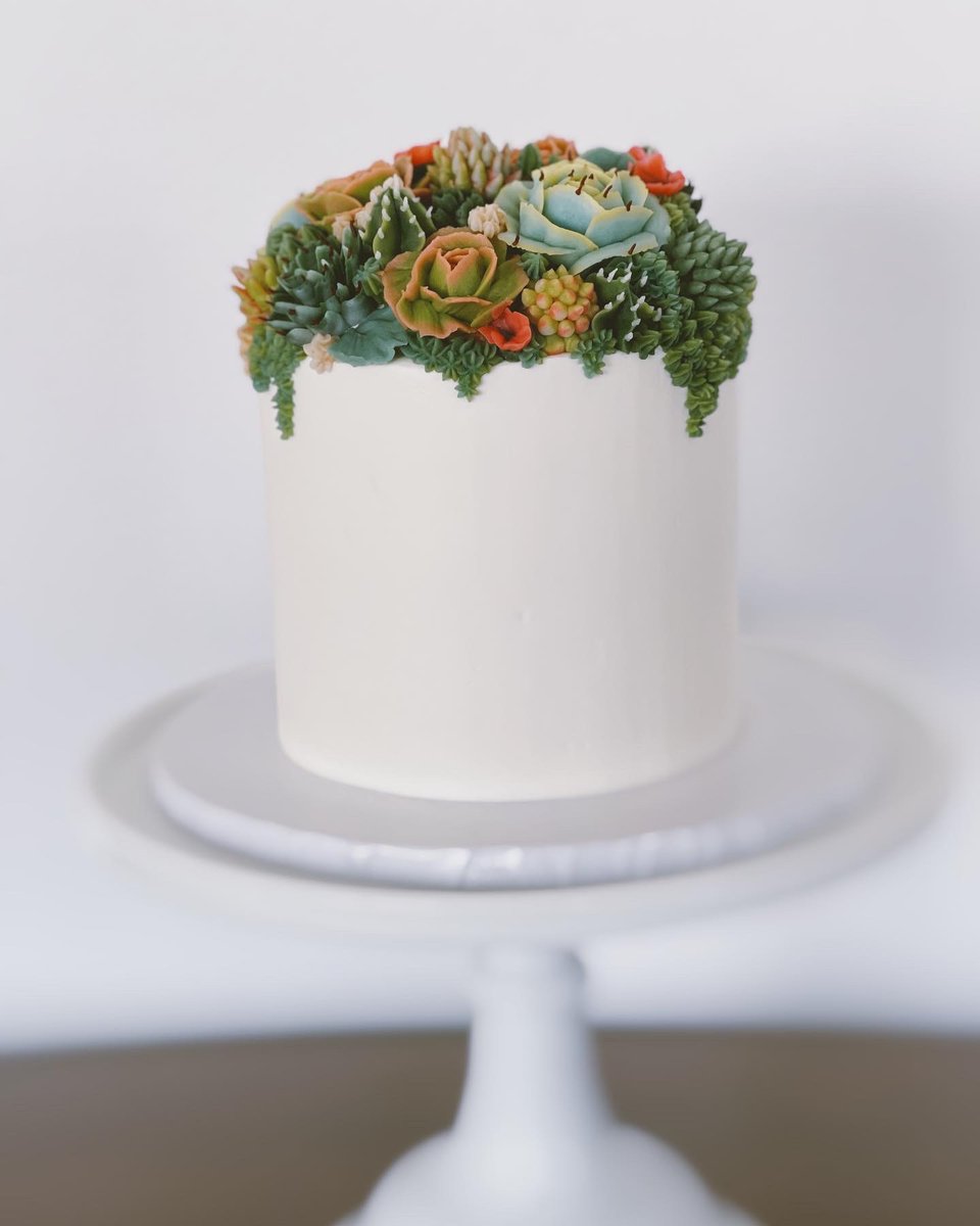 robinmay's tweet photo. Buttercream succulents for a botanist’s birthday. 🎈🌱 https://t.co/iY7DlQ9nOn