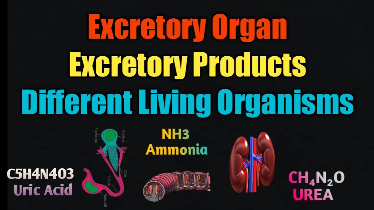BIOPOINT4's tweet image. youtu.be/CRiGZRIFFqo
#biology #cbsestudents #cbsesamplepapers #cbse #ncert #neet #NEET