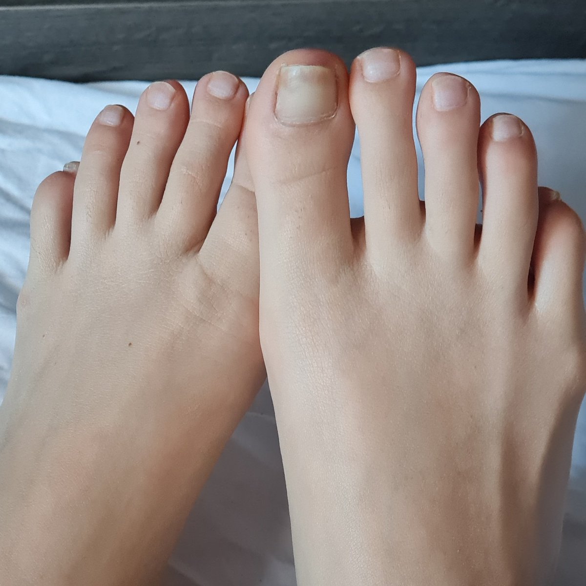 ztoezzz's tweet photo. Suck my long toes 😏

#toes #feet #longtoes https://t.co/hBKpG30e8i