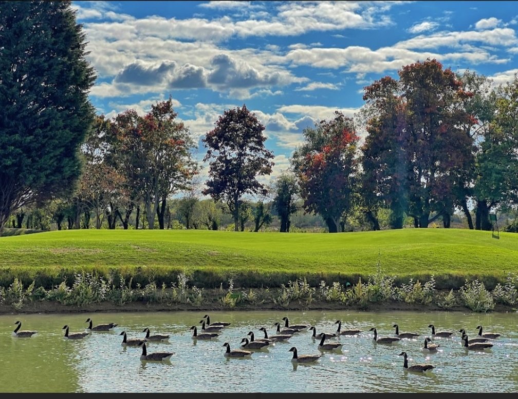 Bicester Hotel, Golf and Spa tweet media