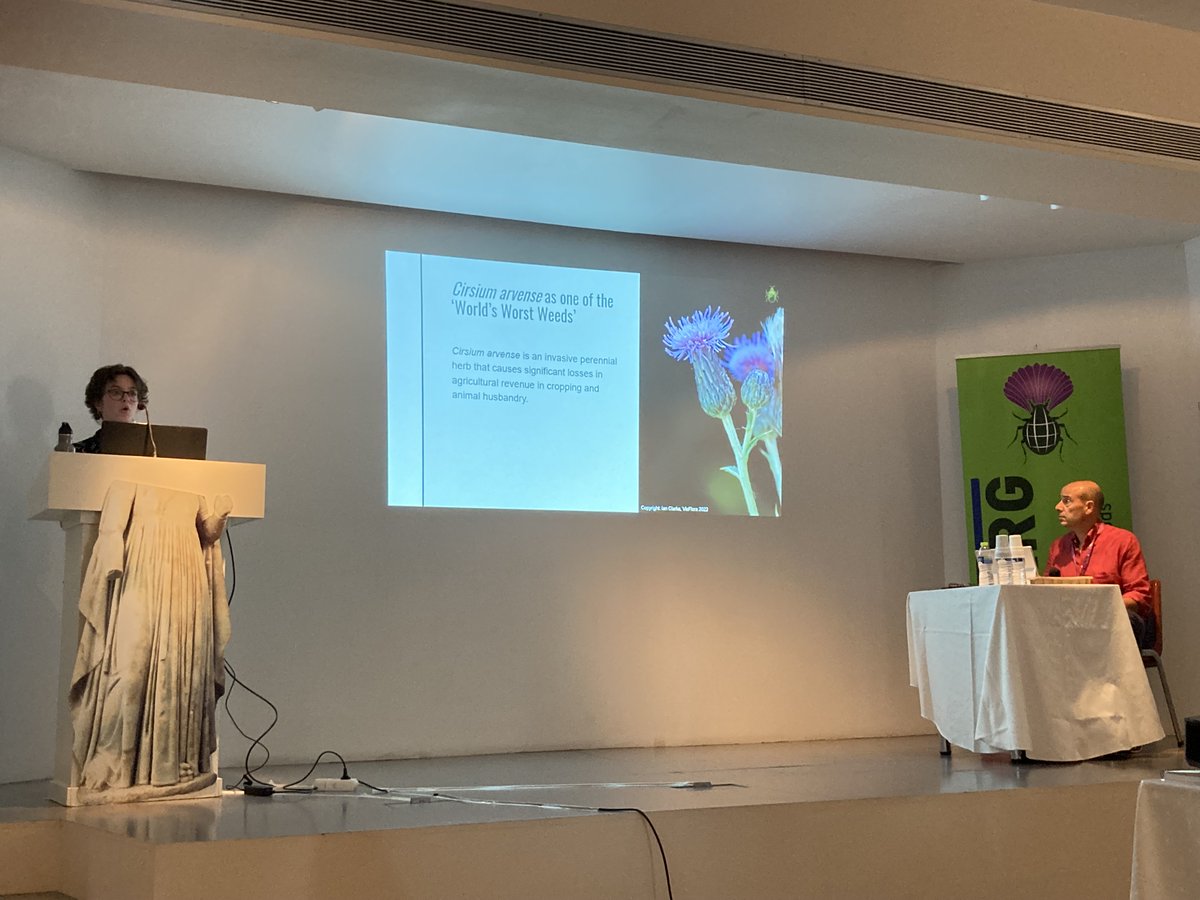 Plants_EFSA's tweet photo. Jessica Kriticos is currently presenting a climate-based #NicheModel for the potential global distribution of #CalifornianThistle under historical and future climates 

Now at #IPRRG2022 
#CLIMEX
#CirsiumArvense https://t.co/Smfjue6Eh5