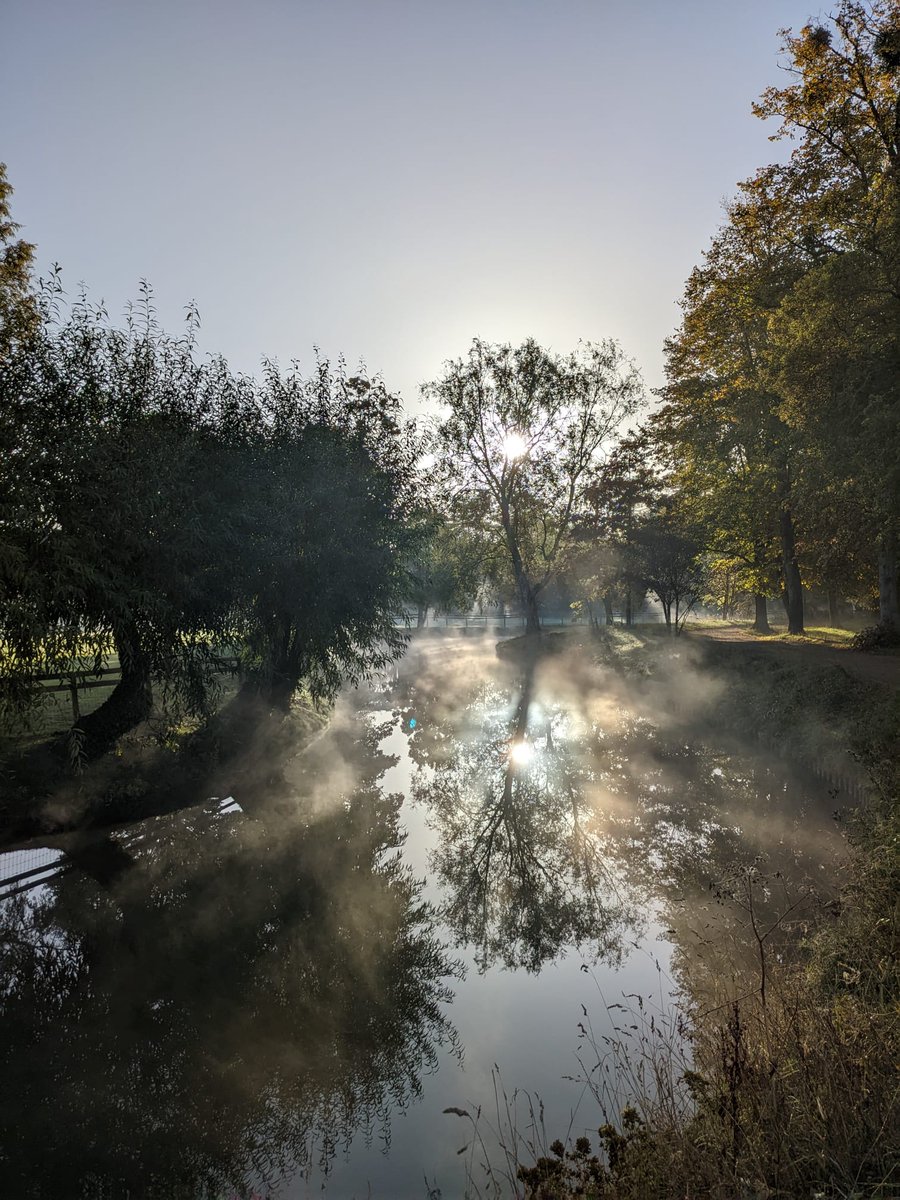A stunning autumnal mist over the Meadow #MuChChLove (📸 by Prof Dirk Aarts)