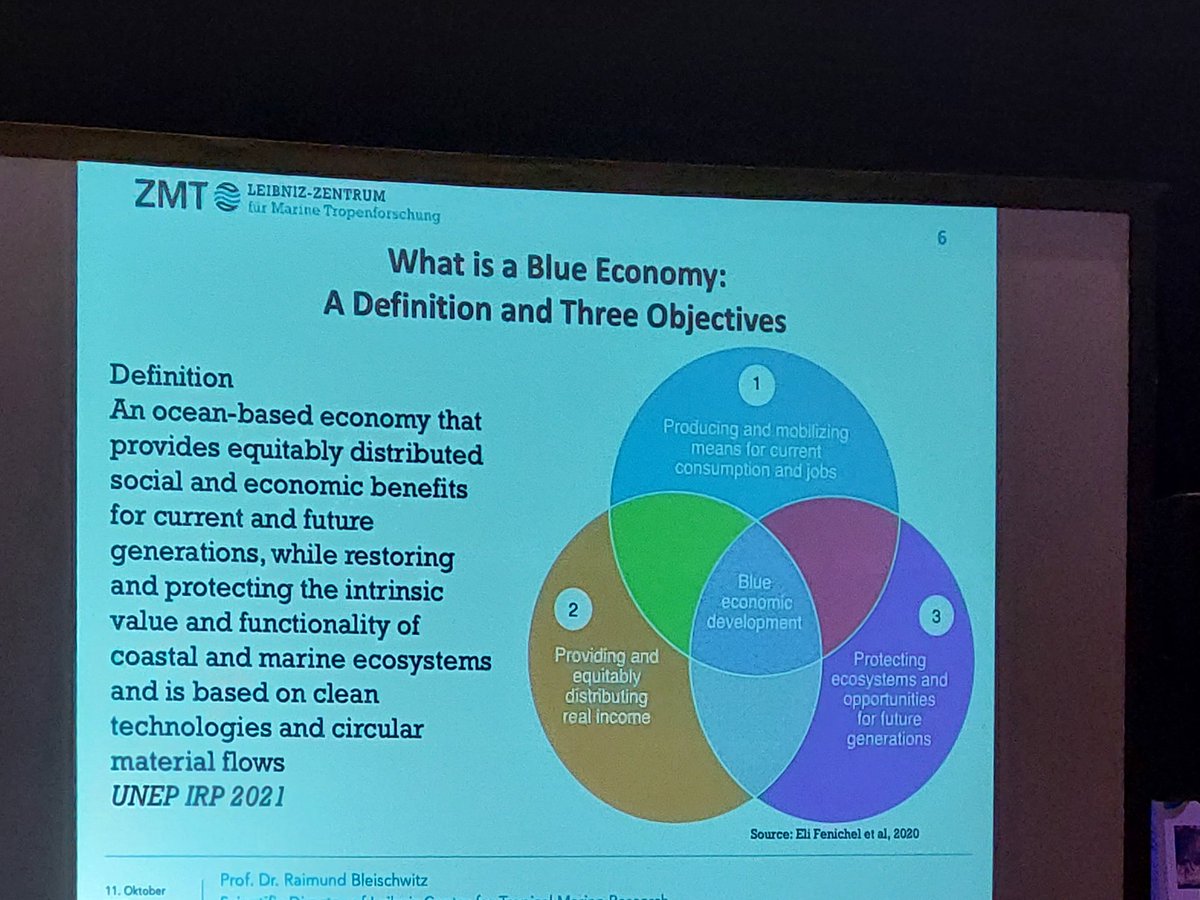#BlueEconomy is a popular catchphrase, but what does it actually mean? Oceans have great economic potential (current economic value is equivalent to the 8th largest national economy), but we have to prioritise equity and sustainability in pursuing that potential. #WIOMSA2022