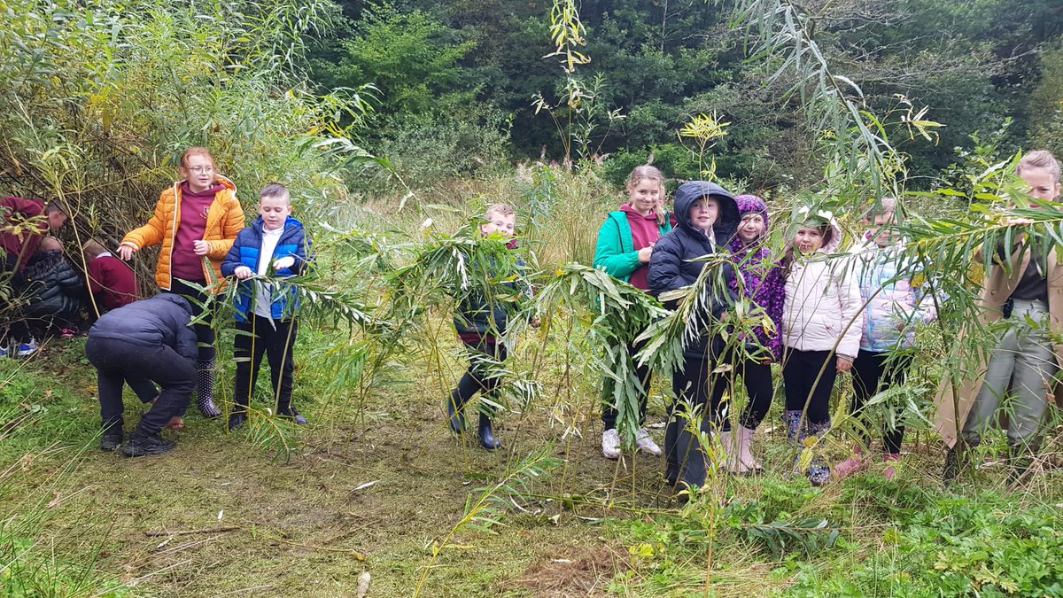 CymerPrimary's tweet photo. Yesterday we had fun collecting willow to make a tunnel for our school dome 🌳🌿 #CAPOak #outdoorlearning #cymerafaneco #CAPhealthandwellbeing @EcoSchoolsWales https://t.co/nVOn1zvsmt