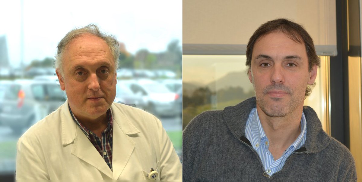 Biogipuzkoa (@biogipuzkoa) on Twitter photo 🧫Biodonostiako eta <a href="/DonostiakoOsp/">OSI Donostialdea ESI</a> ikertzaileek zahartzaro goiztiarraren ezaugarri molekular garrantzitsuak erakutsi dituzte 1.motako Distrofia Miotonikoan, konposatu senolitikoekin leheneratu daitezkeenak.
#BiodonostiaDibulgazioa
bitly.ws/vhSy 🧫Biodonostiako eta <a href="/DonostiakoOsp/">OSI Donostialdea ESI</a> ikertzaileek zahartzaro goiztiarraren ezaugarri molekular garrantzitsuak erakutsi dituzte 1.motako Distrofia Miotonikoan, konposatu senolitikoekin leheneratu daitezkeenak.
#BiodonostiaDibulgazioa
bitly.ws/vhSy
