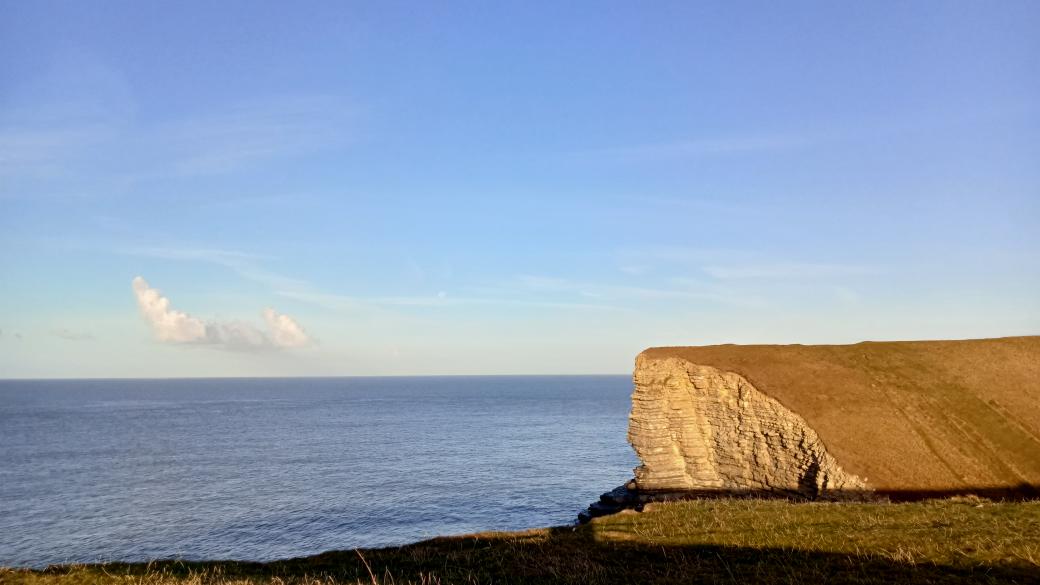 Merlin heading west along the cliffs at Nash Point, towards the setting moon.#glambirds