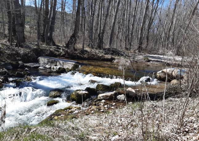 CHJucar's tweet photo. Seguimos conectando ríos mediante la construcción👷♀️⚒️👷♂️ de una #RampaParaPeces en el #RíoGuadalaviar a su paso por Torres de Albarracín (Teruel).
✅ Facilitará los movimientos migratorios de toda la fauna acuática y mejorará la conectividad del río.
#Fishway #FishLadder https://t.co/Hr6uhP0FNQ