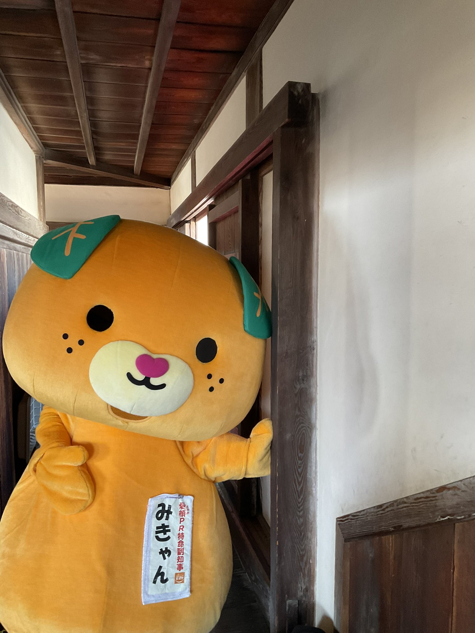 みきゃん 公式 愛媛県イメージアップキャラクター Micanehime Twitter