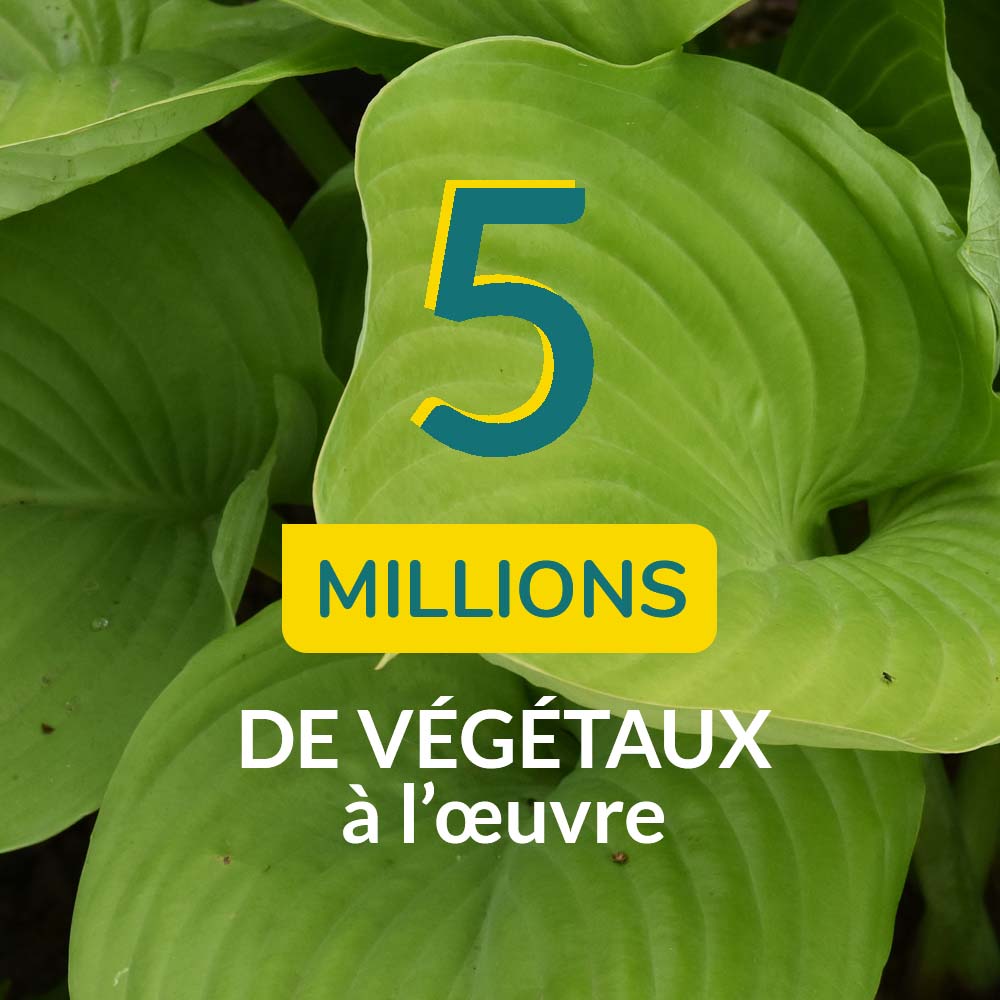 Aquatiris tweet media