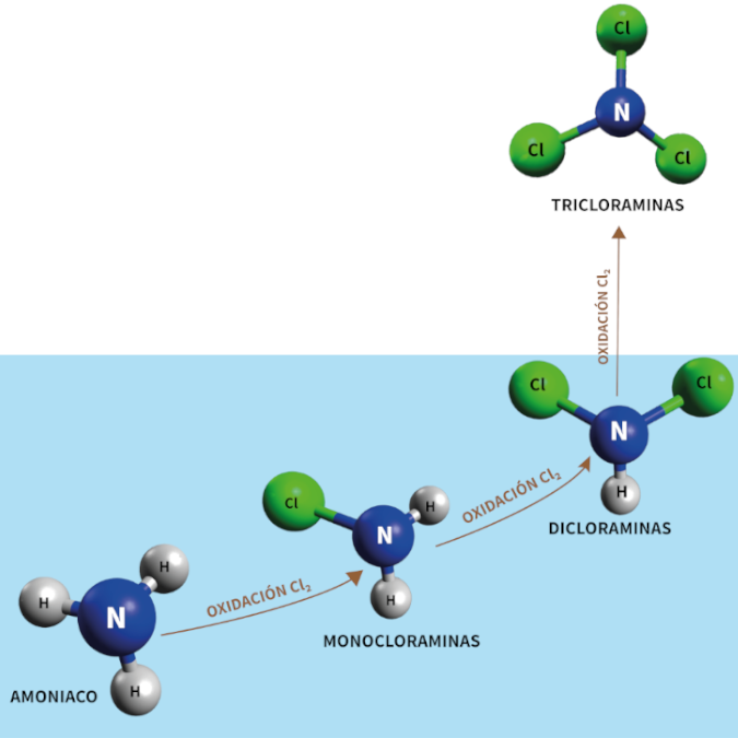 En las jornadas de la pasada semana de Wapotec, se han tratado temas como la influencia que tiene la formación de cloraminas en la calidad del agua y del aire  de un Centro deportivo. Si quieres conocer más sobre lo tratado en este evento, haz click aquí: lnkd.in/dFfexWTG