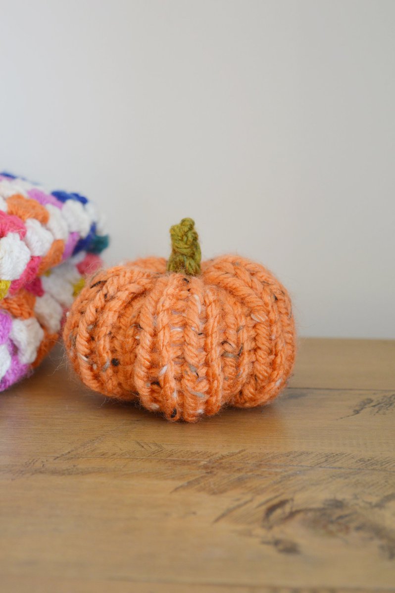 Pumpkin Knitting Workshop