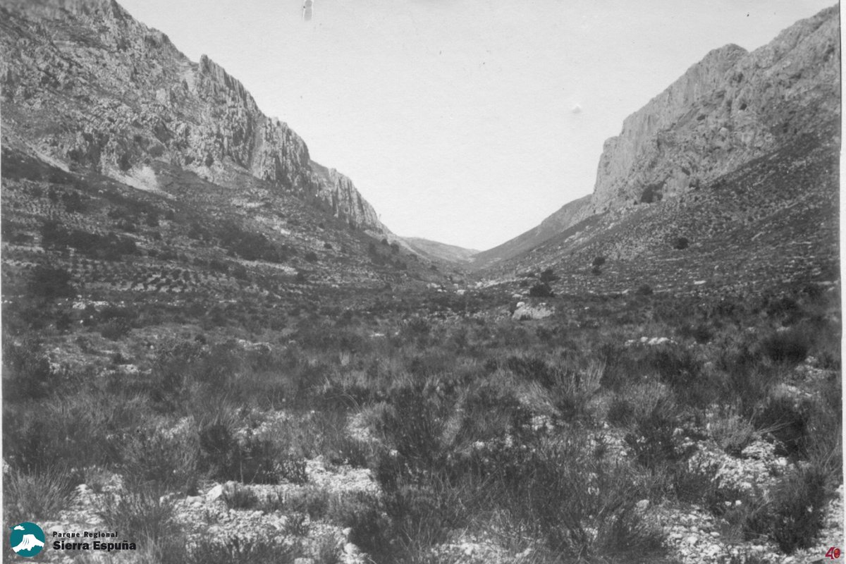 SierraEspunaPR's tweet photo. ¿De qué paraje se trata? 🤔 Gracias a una modélica restauración hidrológico-forestal, el paisaje de #SierraEspunaPR ha cambiado en los últimos 130 años 👍
🌄 Este es el valle más emblemático del Parque, flanqueado por impresionantes paredes verticales 😍 https://t.co/yjXqy2EVnB