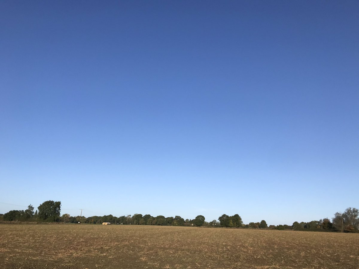 What a morning 🏃‍♀️🏃☀️ #dailymile #feelgood