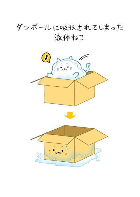 「猫 箱入り娘」のTwitter画像/イラスト(新着)｜3ページ目