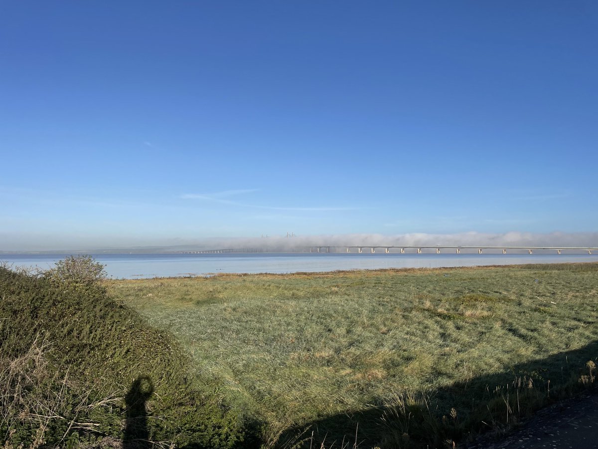 Mark Gibbens tweet media