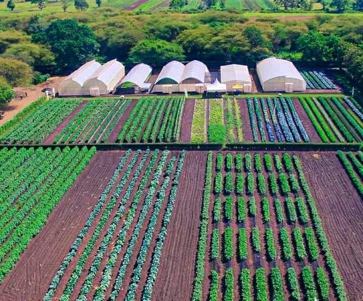 If you are interested in agriculture please like and retweet.