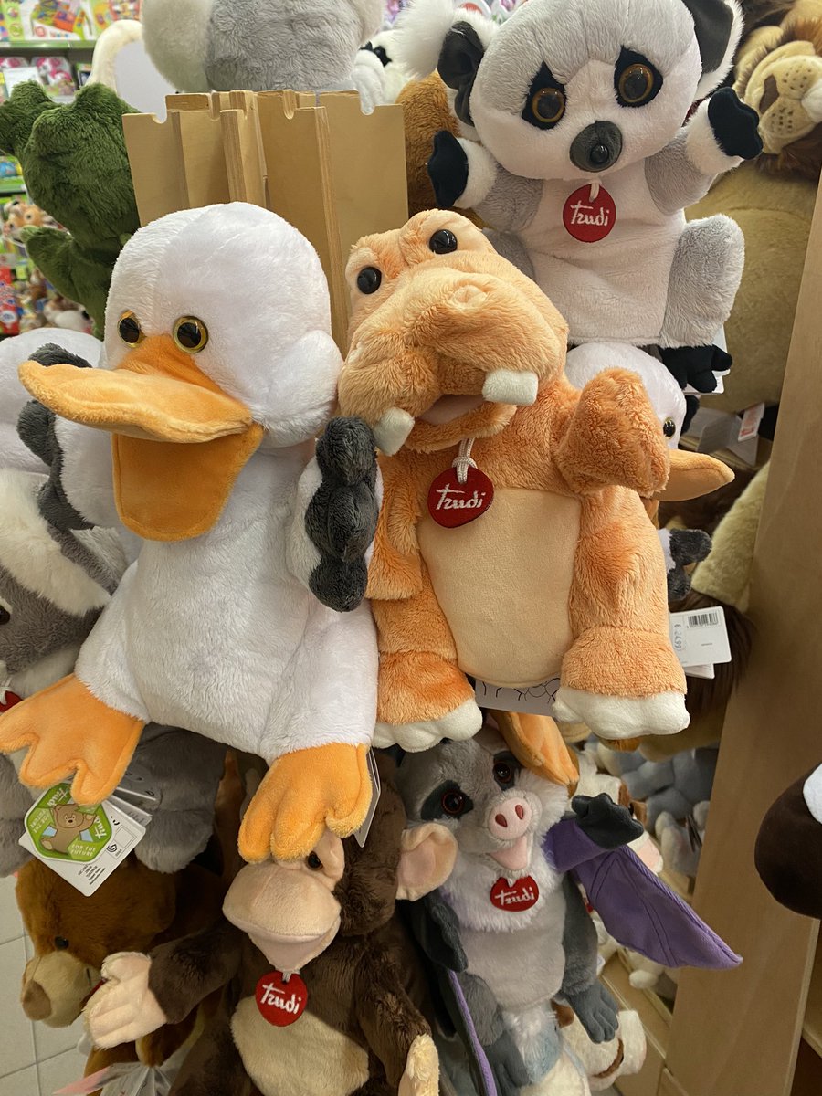 matildesoda2's tweet photo. Vorrei questo piccolo dinosauro se qualcuno vuole regalarmelo sarei molto felice… grazie prego ciao ❤️ https://t.co/Jvhx45JUnY