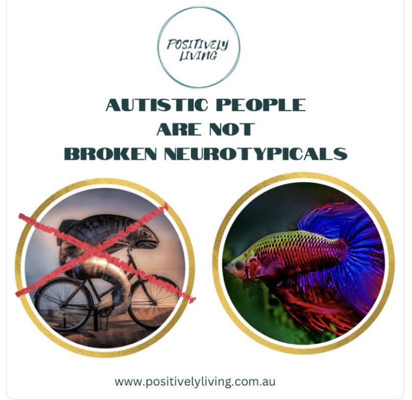 martinimarie's tweet photo. This⬇️⬇️⬇️ #NothingToFix #AutisticAcceptance #AutisticInclusion #DifferentNotLess #EmbraceTheDifference https://t.co/uIthDu3kok