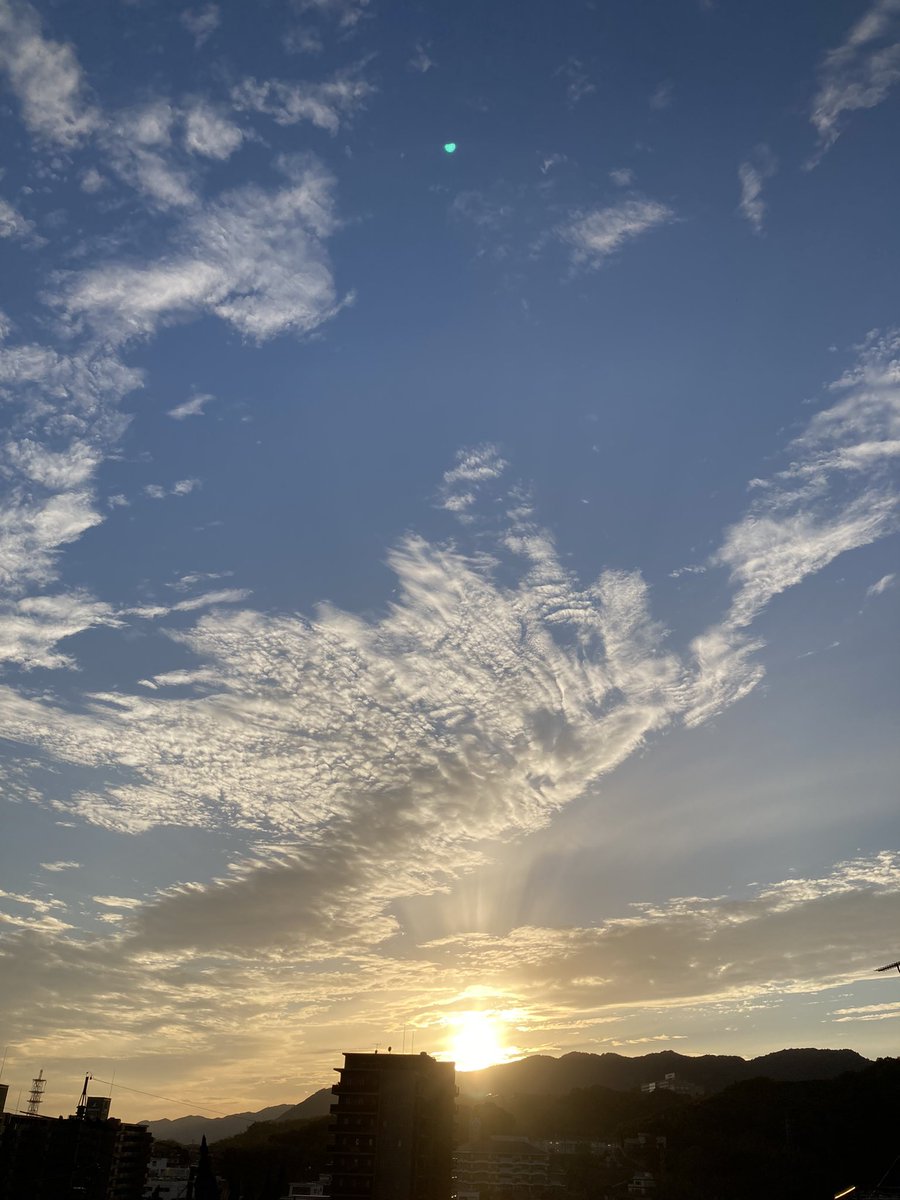 空がきれいだったので、作る手を少し休めて外へ。大きな鳥が飛んでるみたい🕊

#夕陽 #尾道
