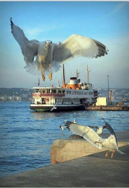 Доброе утро мир..💖🤝